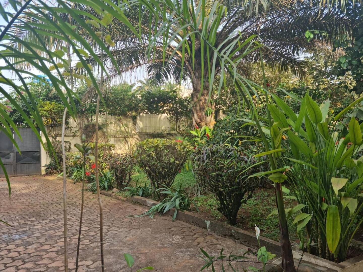 Tout confort avec jardin entrée Bastos Yaoundé Extérieur photo